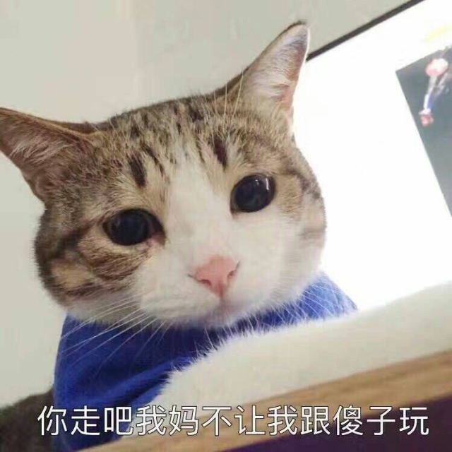 > 资生堂 洗颜专科 sengansenka 柔澈泡沫洁面乳120g