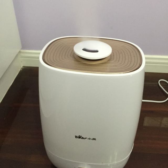小熊(bear) 加湿器 jsq-a50u1 5升大容量 微米级细雾 超声波静音家用