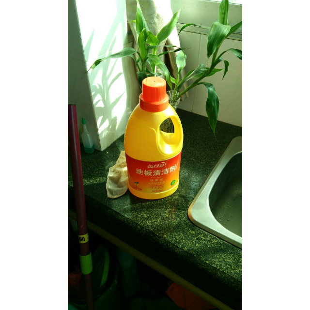【苏宁易购超市】蓝月亮除菌地板清洁剂2l/瓶