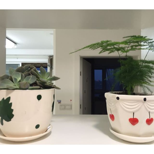 舒肤佳纯白清香型沐浴露1l