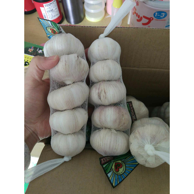 【徐州馆】zlm 保鲜大蒜 大蒜头5斤袋装(250g*10 )徐州邳州特产 新鲜