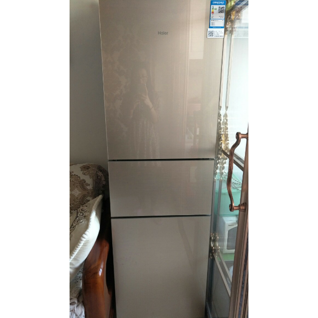 海尔(haier)bcd-220wdgc 220升三门冰箱 干湿分储中门宽幅变温 家用