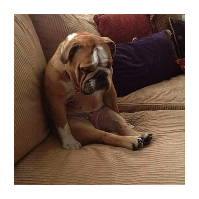 艾斯凯 电子秤 成人体重秤 精准电子秤 人体秤 显示体重称 体重计