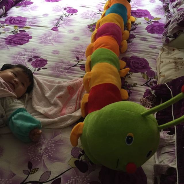 可兰薇 七彩毛毛虫 千年虫布娃娃 毛绒玩具大号公仔 毛毛虫抱枕 100cm