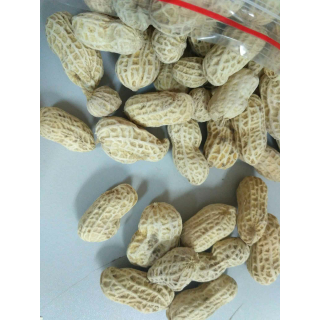 广东河源连平忠信花生皇客家特产原味咸干500g送礼佳品【中华特色馆】