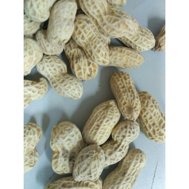 广东河源连平忠信花生皇客家特产原味咸干500g送礼佳品【中华特色馆】