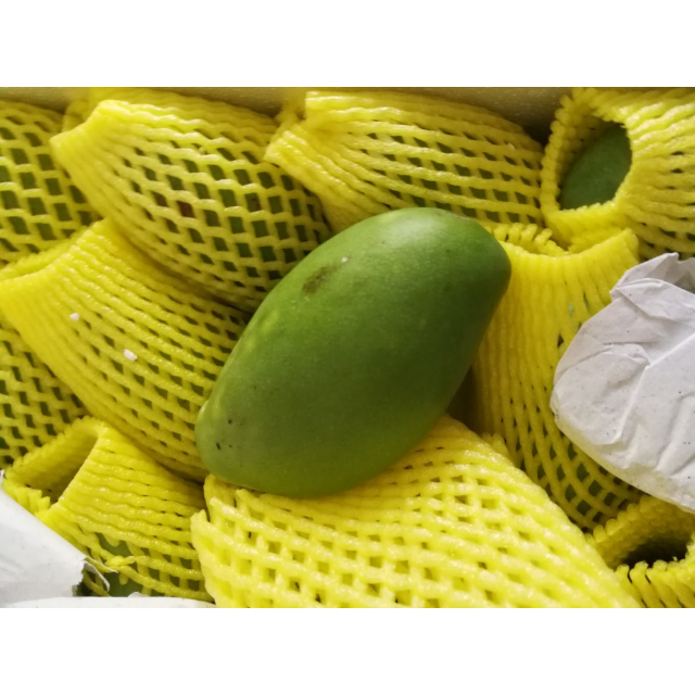 9元】新鲜青皮芒果 香甜小青芒 5斤装
