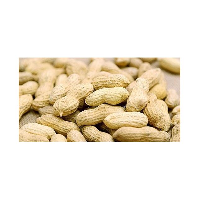 【中华特色馆】兰考馆花生500g/袋包邮 散装原味小花生农家带壳优选