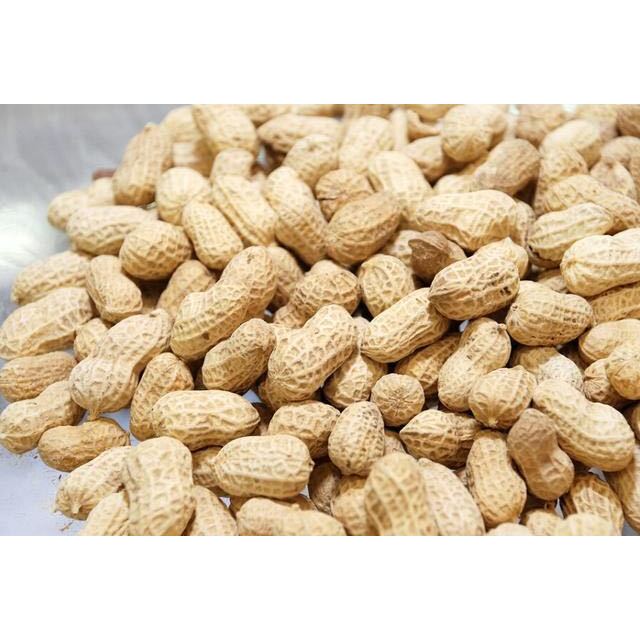 【中华特色馆】兰考馆花生500g/袋包邮 散装原味小花生农家带壳优选