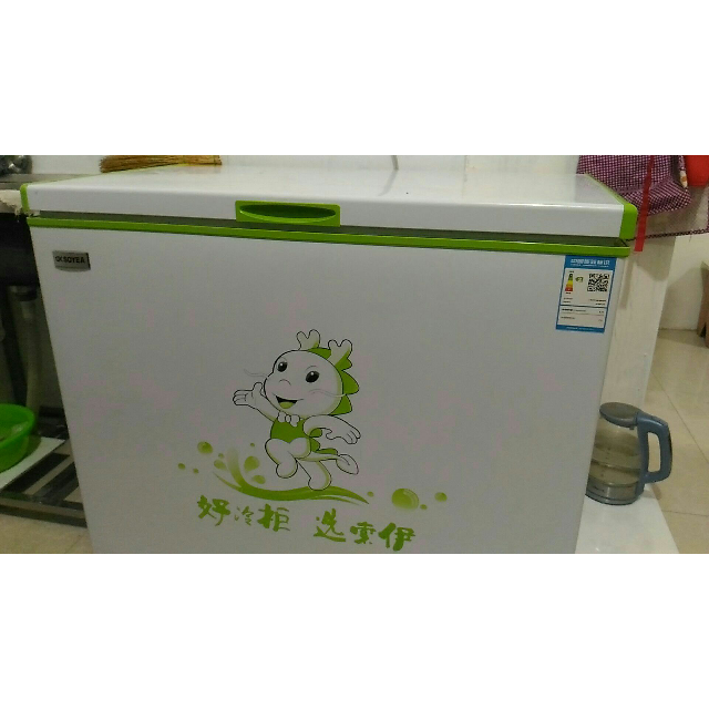 小型冰柜家用卧式单温冷藏 冷冻柜商用冰柜冷柜/冰吧索伊冰柜超值实惠