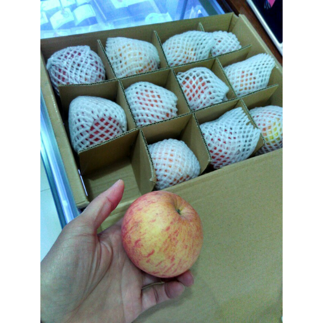 陕西白水苹果 水果红富士 12枚五斤装