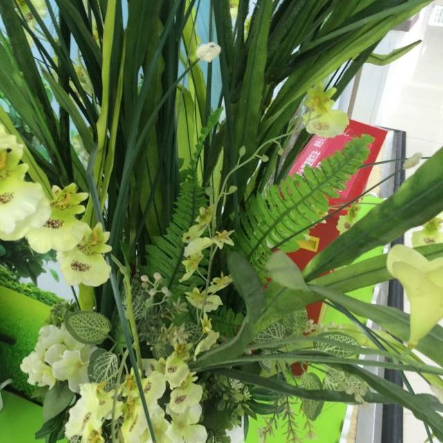 【苏宁易购超市】安佳 全脂纯牛奶 常温纯奶 新西兰进口牛奶 250ml*24