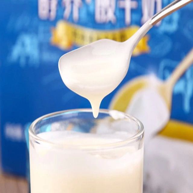 皇氏乳业 摩拉菲尔 醇养原味酸牛奶 乐享装205g*8盒酸奶态度好热心肠