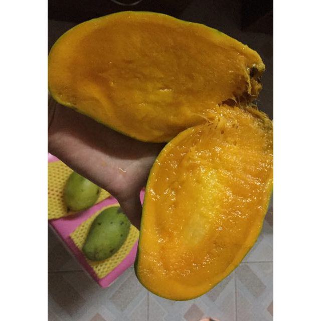 > 新鲜青皮芒果香甜玉芒果4斤 包邮【中华特色馆】商品评价 > 收到货
