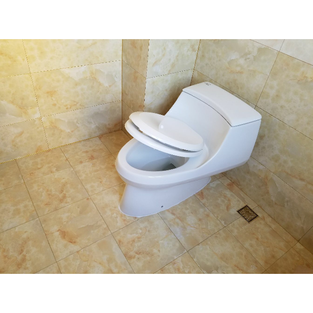 > 科勒马桶 连体座便器坐便器 圣拉菲尔五级旋风节水型k-5483/5527t