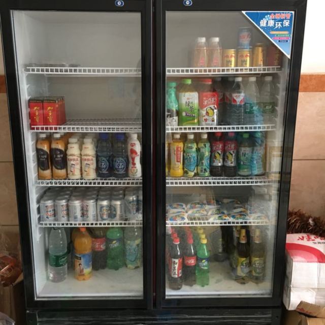 lecon/樂創洋博 展示櫃冷藏 立式冰櫃 商用冰箱飲料飲品保鮮櫃 雙門