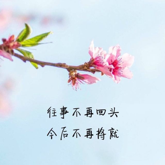 两面针茶清香牙膏90g 30g牙膏好,很好,非常好.-苏宁易购