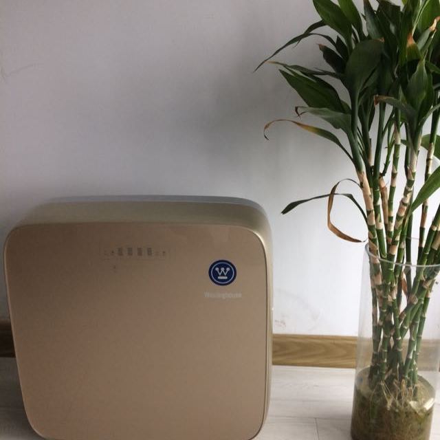 西屋(westinghouse)净水器 wro500-a3 家用厨下式直饮净水机ro反渗透