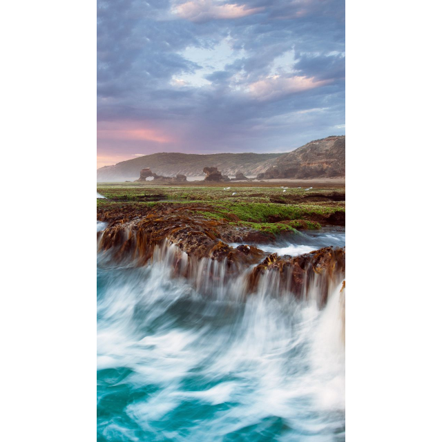 【苏宁易购超市】金龙鱼 黄金比例调和油 食用油4l