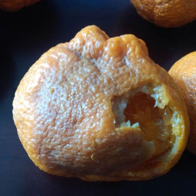 不知火丑橘新鲜水果5斤包邮