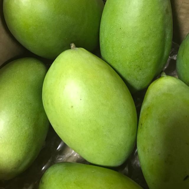 苏宁生鲜广西小青芒25kg约150g个芒果新鲜水果