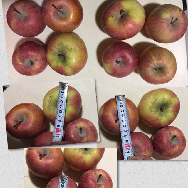 【苏鲜生】新疆阿克苏冰糖心苹果1kg果径80mm水果重量不够,没有1kg