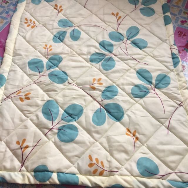 世泽轩家纺 时尚亲肤夏凉被小盖被 70*100cm 皇家风范被子太小了,都用