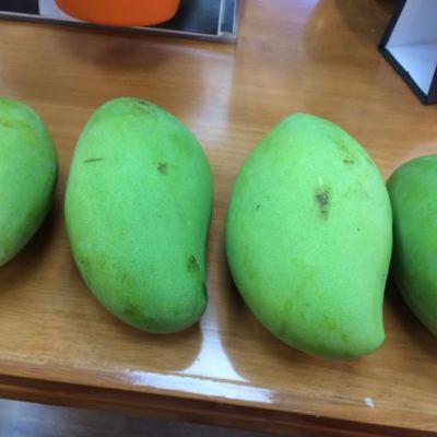 【坏果包赔】新鲜水果好吃越南青芒芒果5斤装