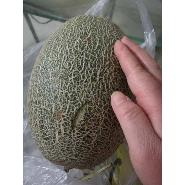 米又海南青皮哈密瓜1个装约355斤