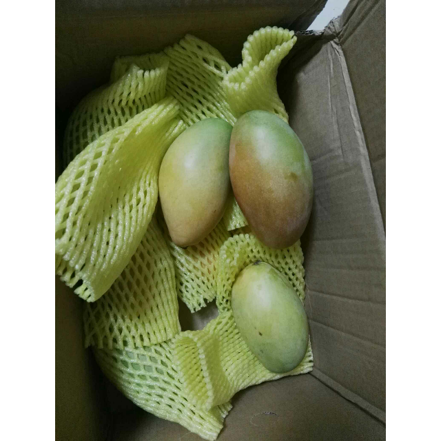 > 米又 青皮芒果玉芒2.