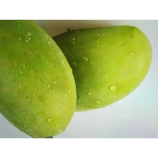 【苏鲜生】广西小青芒1kg约150g/个 芒果 新鲜水果
