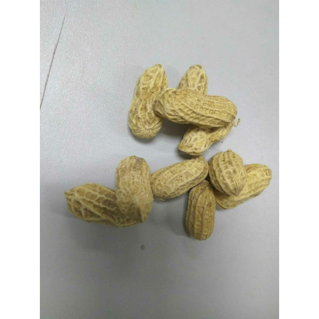 广东河源连平忠信花生皇客家特产原味咸干500g送礼佳品【中华特色馆】