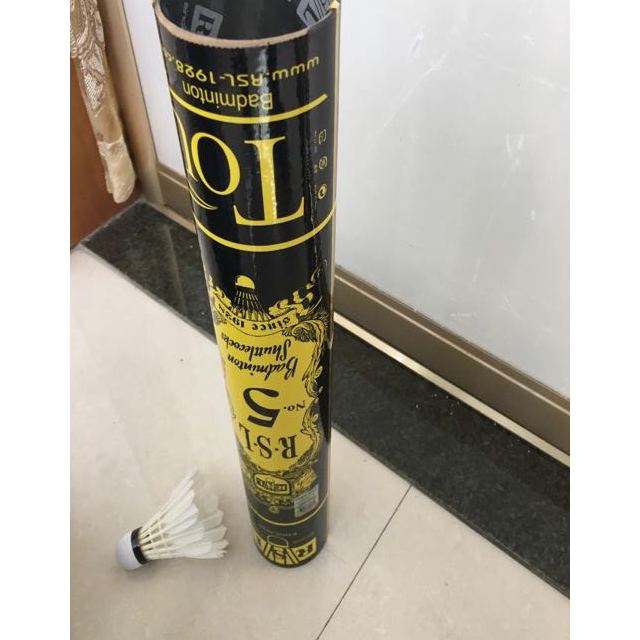 > 英国rsl亚狮龙no.