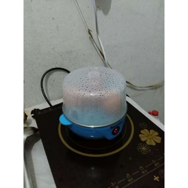 索爱soar双层多功能煮蛋器自动断电蒸蛋器不锈钢蒸蛋机迷你早餐机