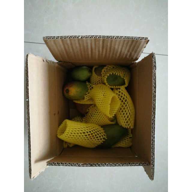 > 果郡王 海南贵妃芒果5斤装约16-25个 新鲜水果商品评价 > 快递速度