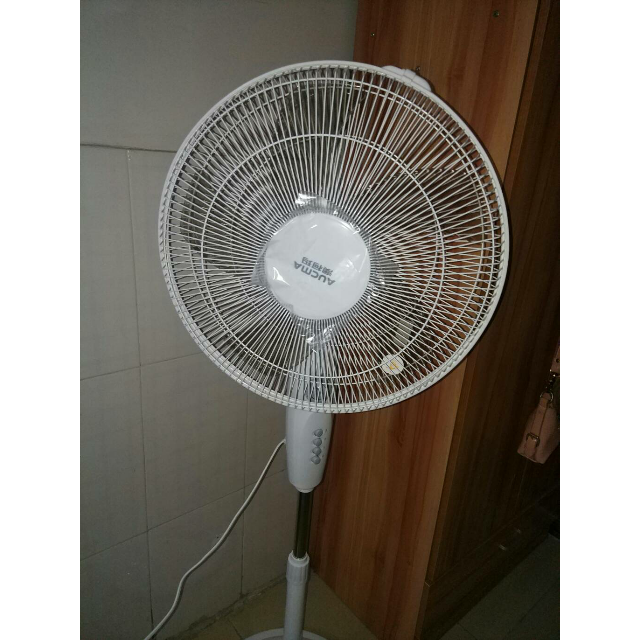 澳柯玛(aucma)电风扇fs-40ns01三档风速 家用静音 定时摇头 落地扇
