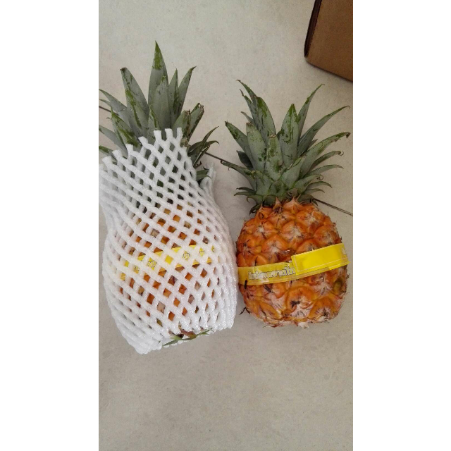 【苏鲜生】云南迷你小菠萝2个500g以上/个水果个子小小的,看着挺新