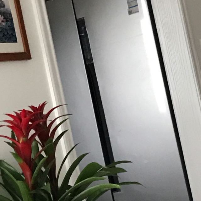 海尔(haier) bcd-572wdenu1 海尔572升云智能变频风冷无霜冰箱(炫沙银