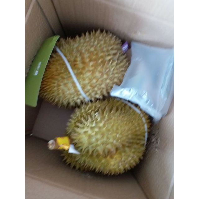 枕头榴莲9-10斤(约1-2个)新 新鲜水果 进口商品评价 > 包装好的没话说