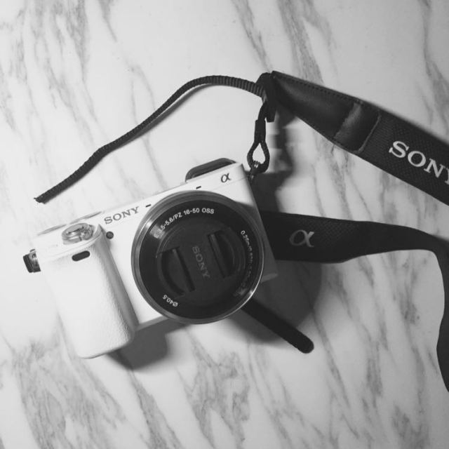索尼(sony) ilce-6000l/a6000 微单套机 (16-50mm) 卡包促销套装 白色