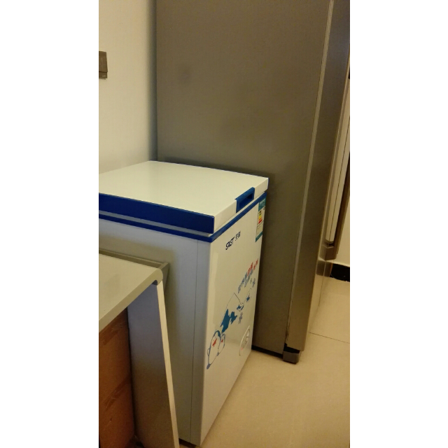 先科(sast)bd/bc-91小冷柜 小型卧式电冷柜91升 家用商用单温冷冻柜