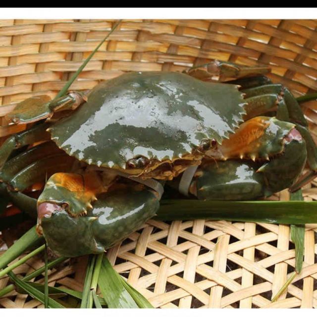 > 米 大米 软糯醇香 晶莹清透 福临门 软糯香米 大米5kg 粳米商品评价