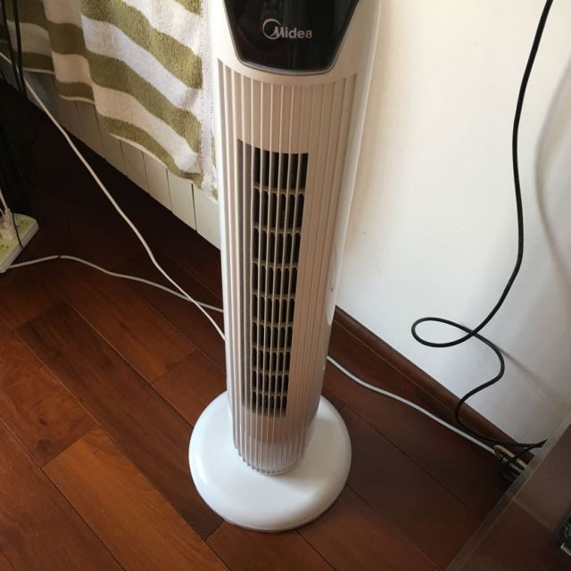 > 美的(midea) 电风扇 fz10-17dw 三档机械 家用静音 摇头定时 塔扇