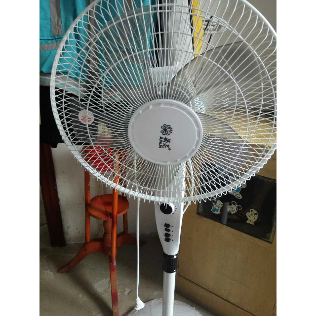 > 菊花电风扇落地扇立式家用风扇学生宿舍摇头电扇 机械款商品评价 >