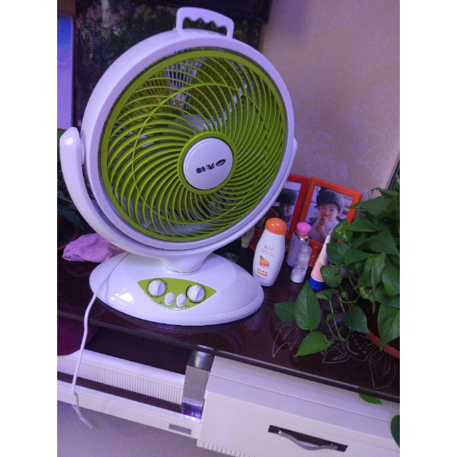 10b(dk1003)花篮台式静音省电鸿运扇转页浅绿色台扇高清大图|实物图