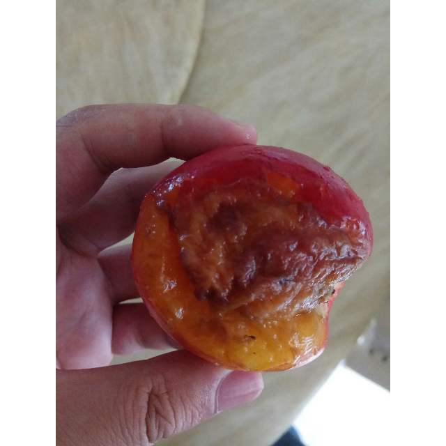 > 【山西运城】露天油桃 5斤 新鲜水果 现摘现发 脆甜水分足商品评价