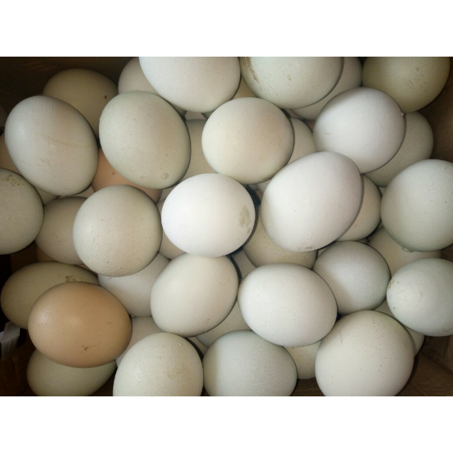 > 舒肤佳纯白清香型沐浴露1l商品评价 > 不错,好大一瓶