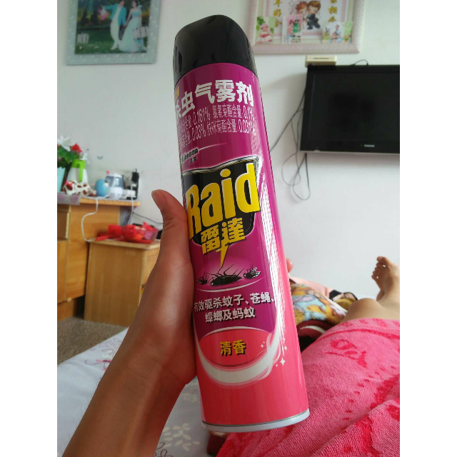 > 雷达 杀虫气雾剂 清香600ml 杀虫剂 喷雾 杀虫水