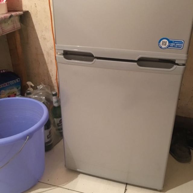 双鹿(sonlu) bcd-102c 102升双门小冰箱 节能迷你两门(一级能效)租房