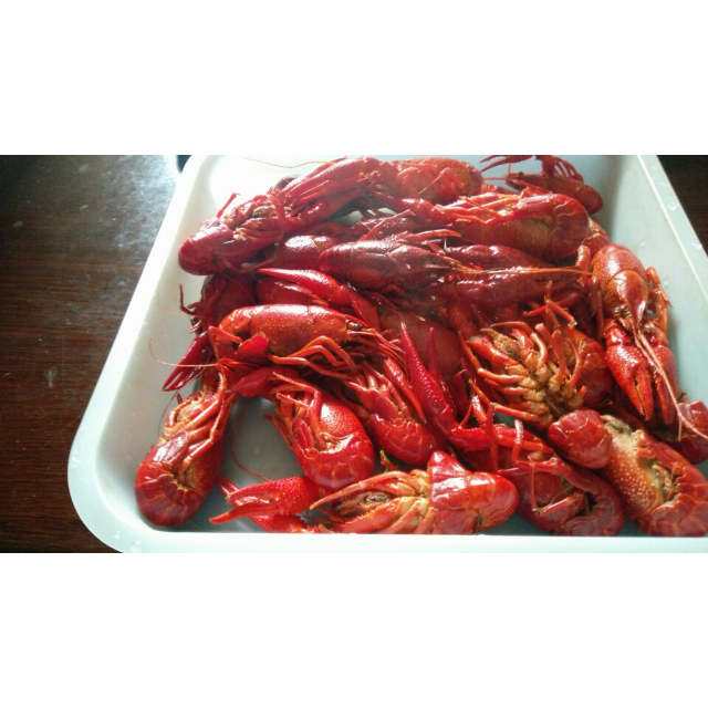 清水牌小龙虾 十三香口味1500g龙虾即食4-6钱/只净虾750g
